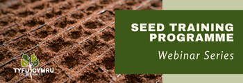 Seed Training Programme - Selection of crops for seed