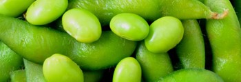 Adroddiad Cynnydd 2020 - Peas Please