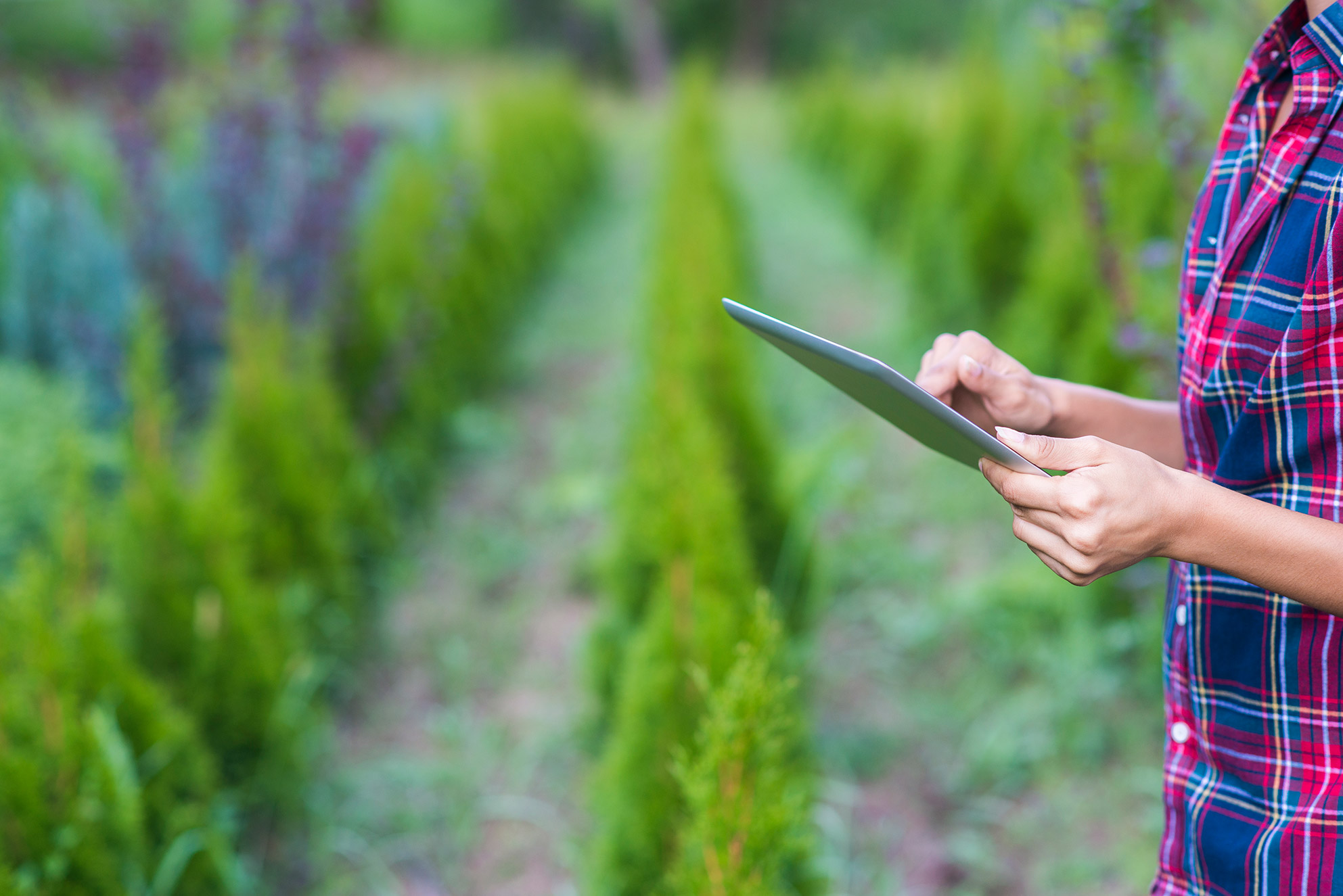 iPad holding gardener