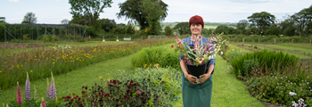 #BritishFlowersWeek - A yw'r duedd 'Grown not Flown' yn dal ymlaen?