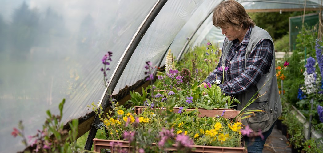 Pick Your Own (PYO) Flowers – Diversification Opportunities