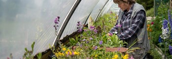Pick Your Own (PYO) Flowers – Diversification Opportunities