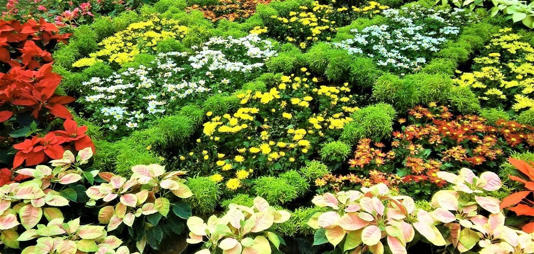 Technical Advice Sheet: Weed Control in Ornamentals