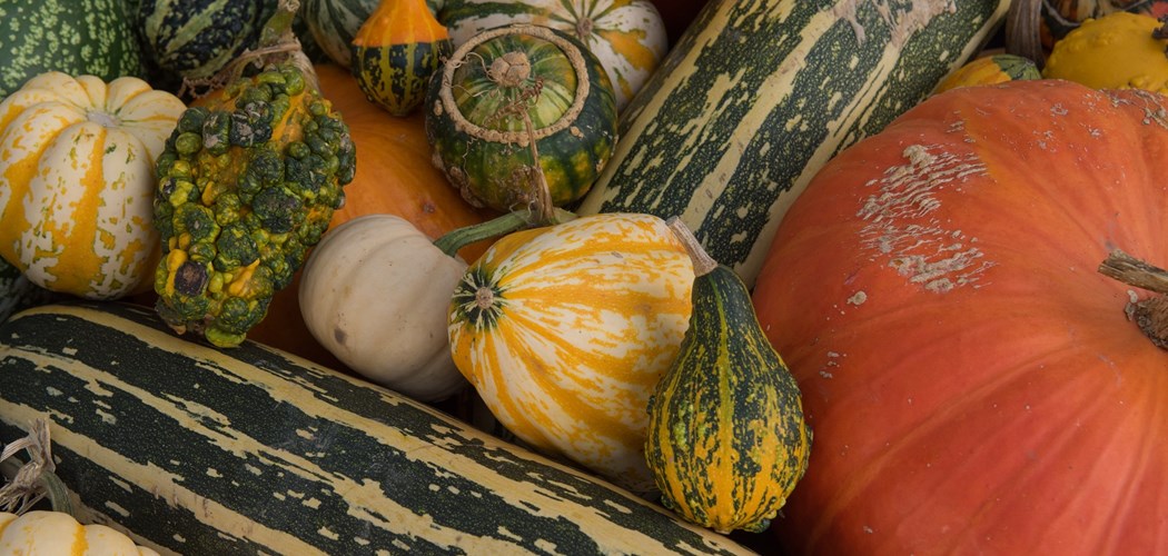 Pick your Own (PYO): What you need to know to get 5* rated (part 2)