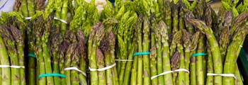 Asparagus - A niche crop for Wales