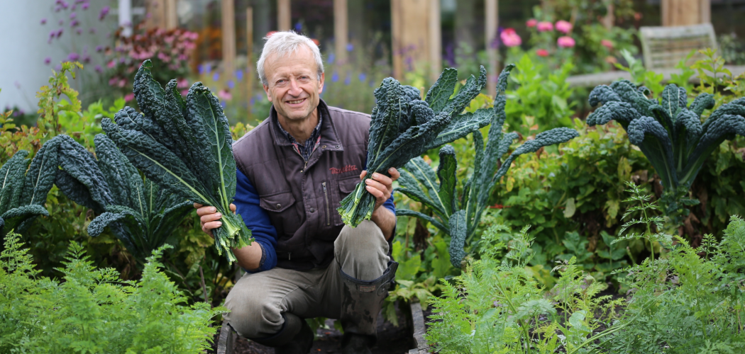Tyfu Cymru and Charles Dowding Q&A - Part 2: No Dig Methods and Advantages for Intensive Cropping
