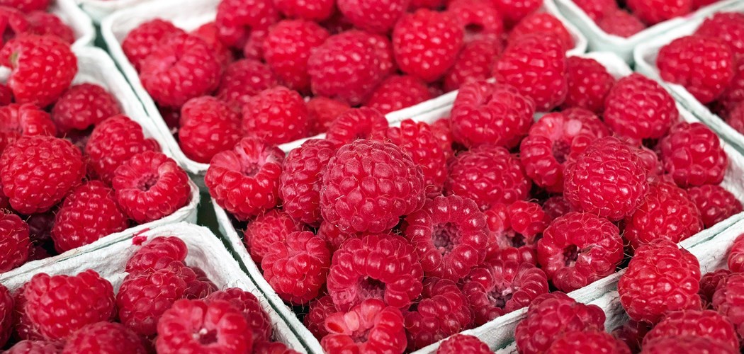 Technical Advice Sheet Strawberry & Raspberry May 2020