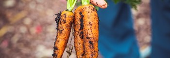 Considering Converting? The First Step Towards Organic Production