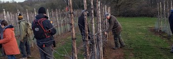 Notes from Pruning Workshop Helios Orchard, Pool Hill Newent