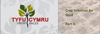 crop cultivation3.JPG