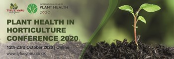 Taking plant health online…