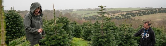 Tyfu Cymru Grower Networks