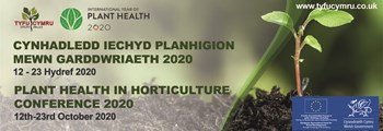 plant health banner bilingual LR.jpg