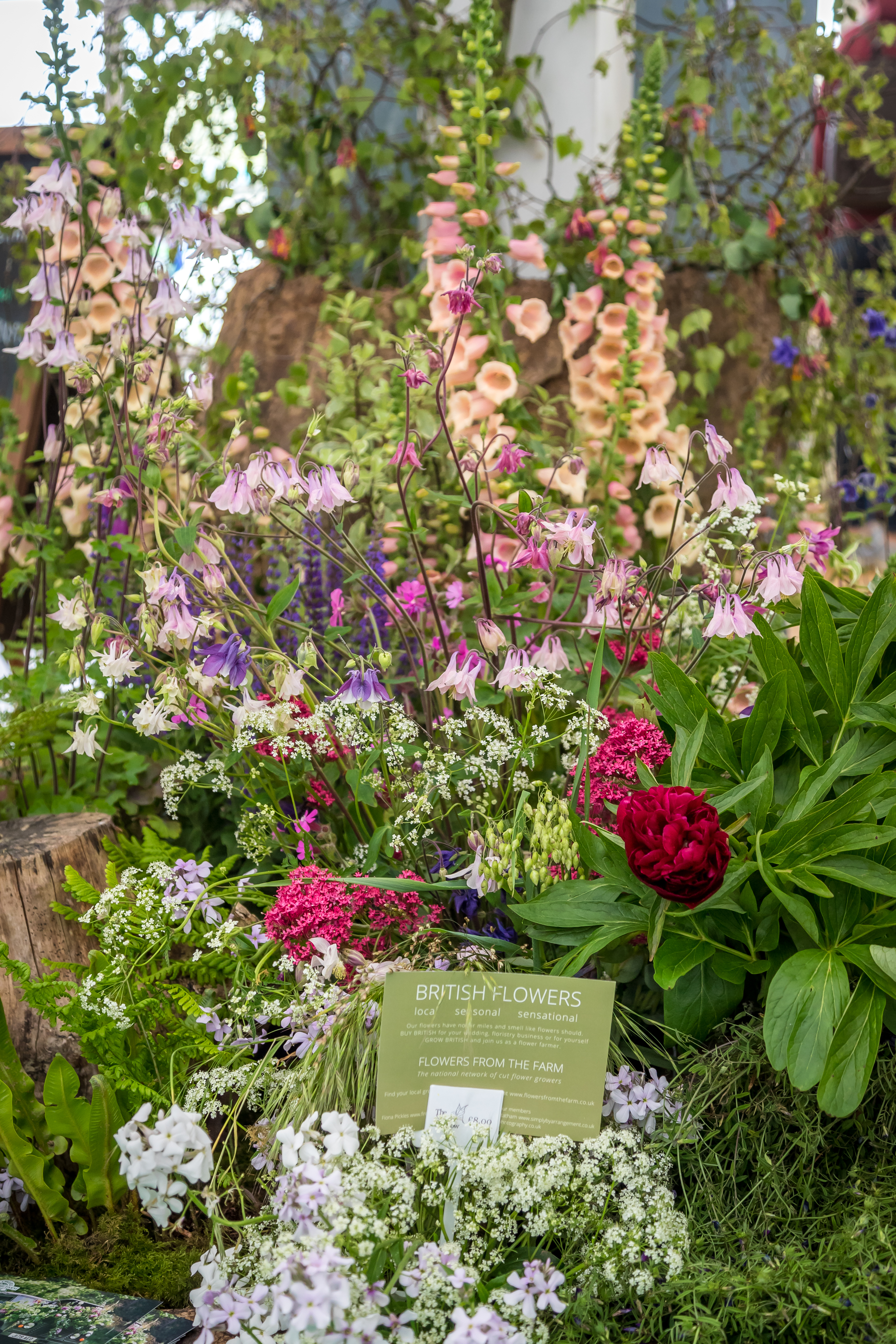 Technical Advice Sheet: Ornamental Plant Protection