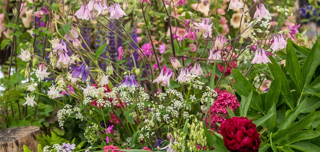 Technical Advice Sheet: Ornamental Plant Protection