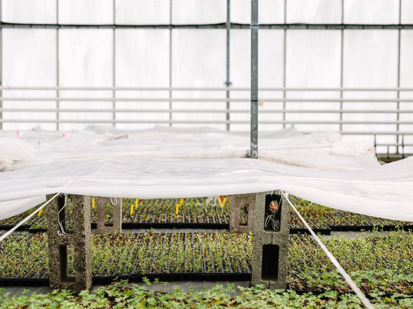 Commercial Horticulture Plan 2020