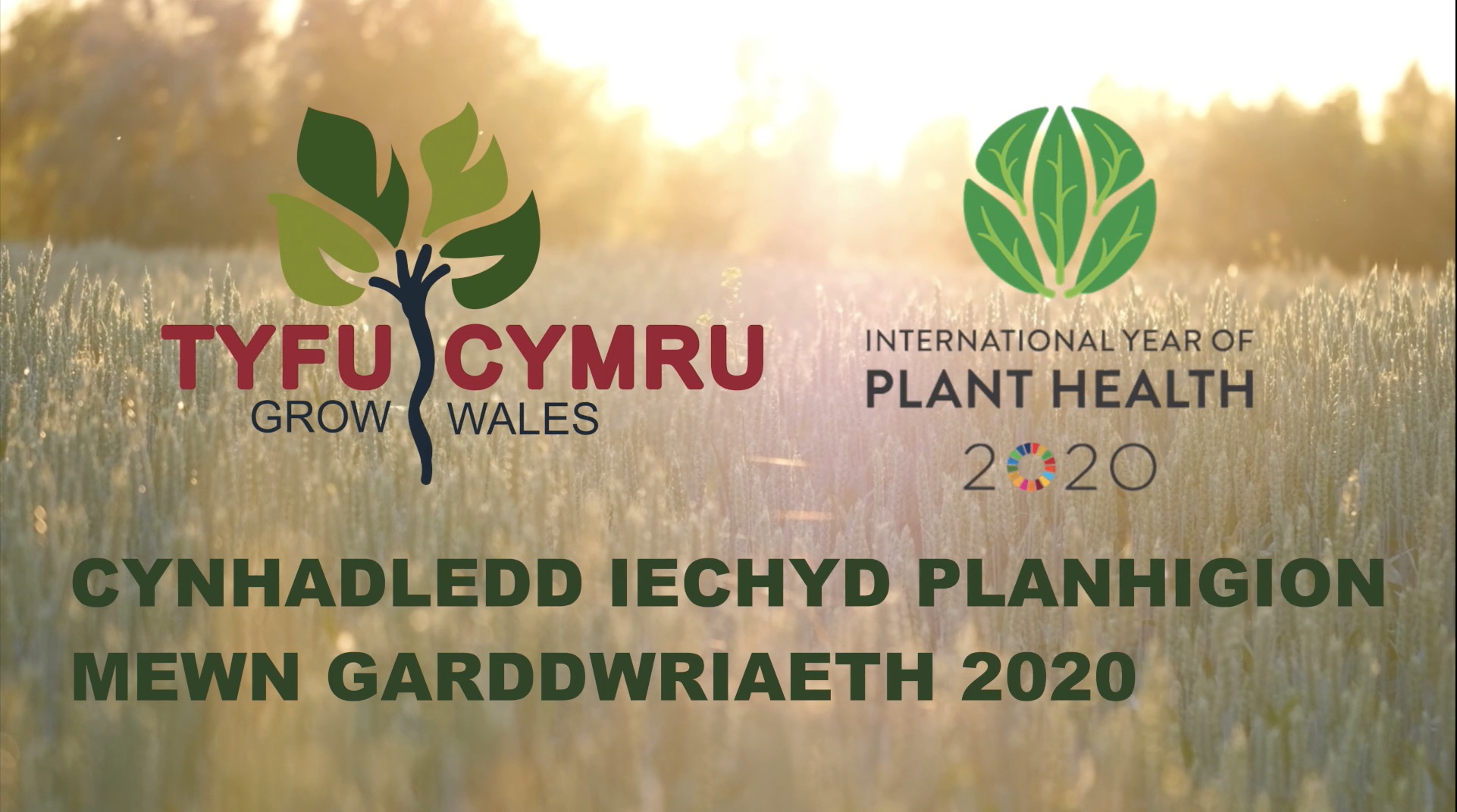 Conference shows how Plant Health is crucial in protecting the horticulture industry and the environment for the long term...