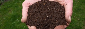 Carbon Assets for Soil Health Project - Supporting UK farmers  providing a public good