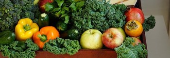 Investment in a small-scale horticulture grants scheme could significantly increase the amount of veg produced in Wales
