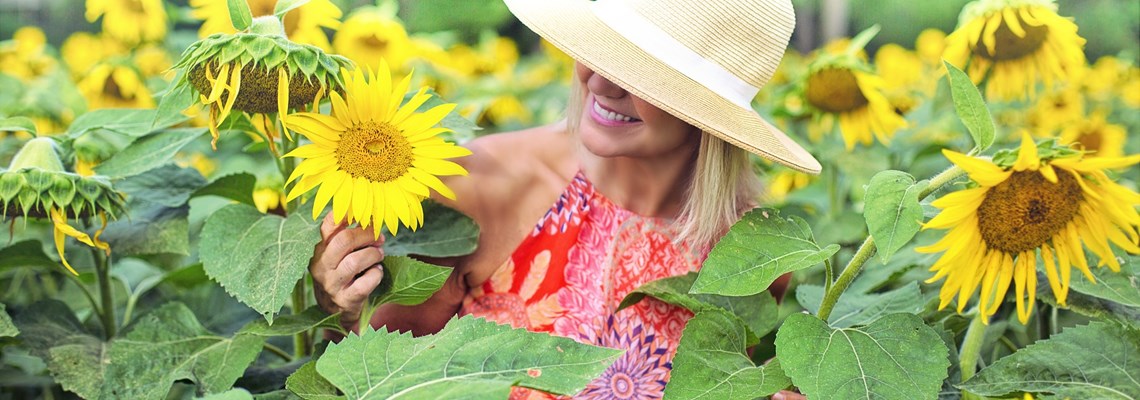 sunflowers-3640936_1920.jpg