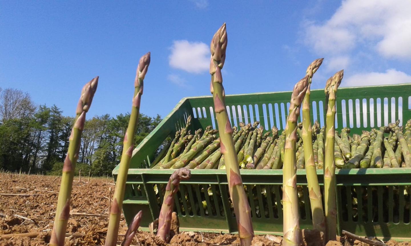 Growers recognised for outstanding commitment to Continuous Professional Development…