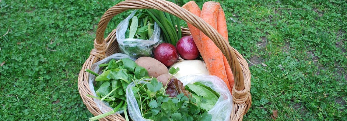 Hyfforddiant a Chymorth i Amaethyddiaeth a Gefnogir gan y Gymuned (CSA) 