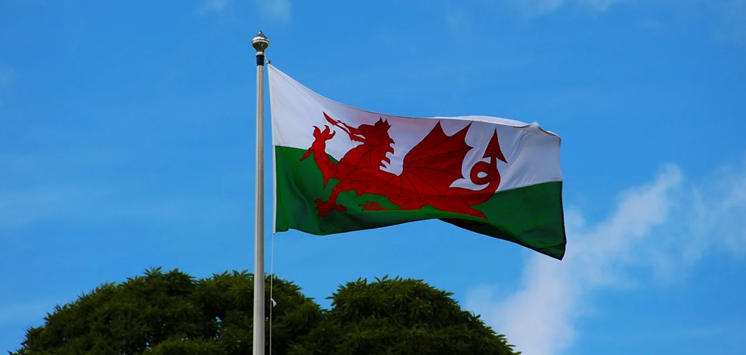 Webinar: Keep it Welsh! Maximising your business potential for growth