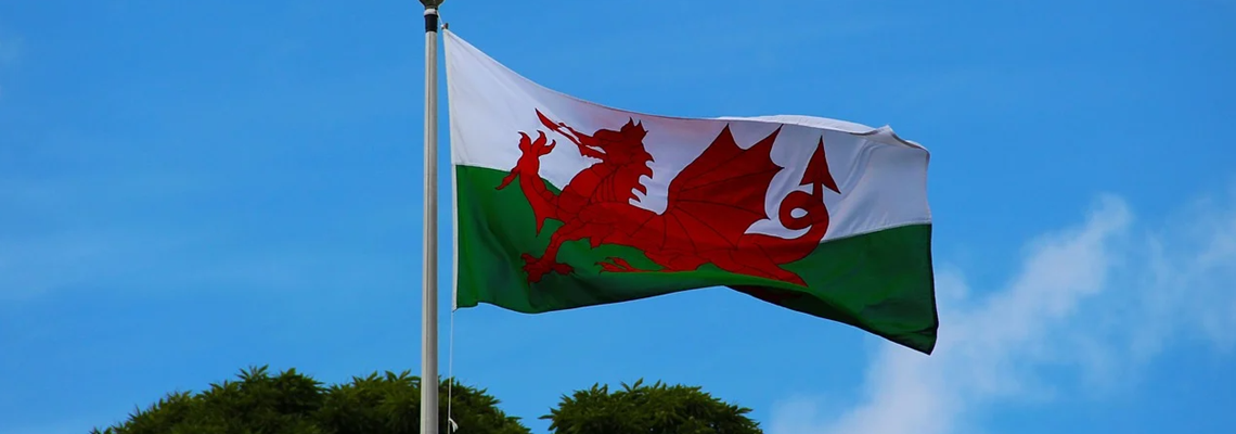 welsh flag.PNG