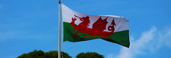 Diversifying into Horticulture: Keep it Welsh! Maximising your business potential for growth 