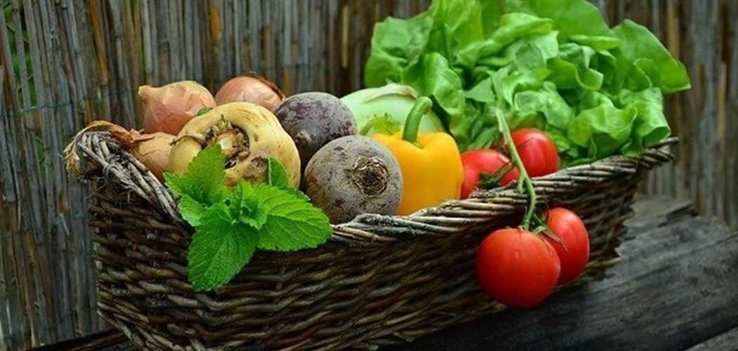 Webinar: Veg network - Box scheme Financial session