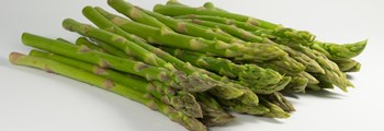 Asparagus; a diversification crop for Wales  