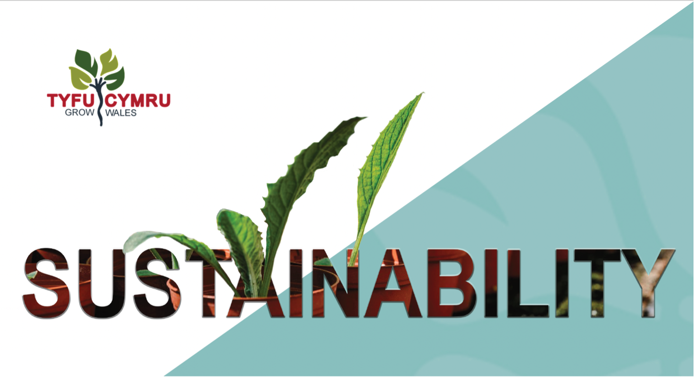 Putting sustainability at the forefront