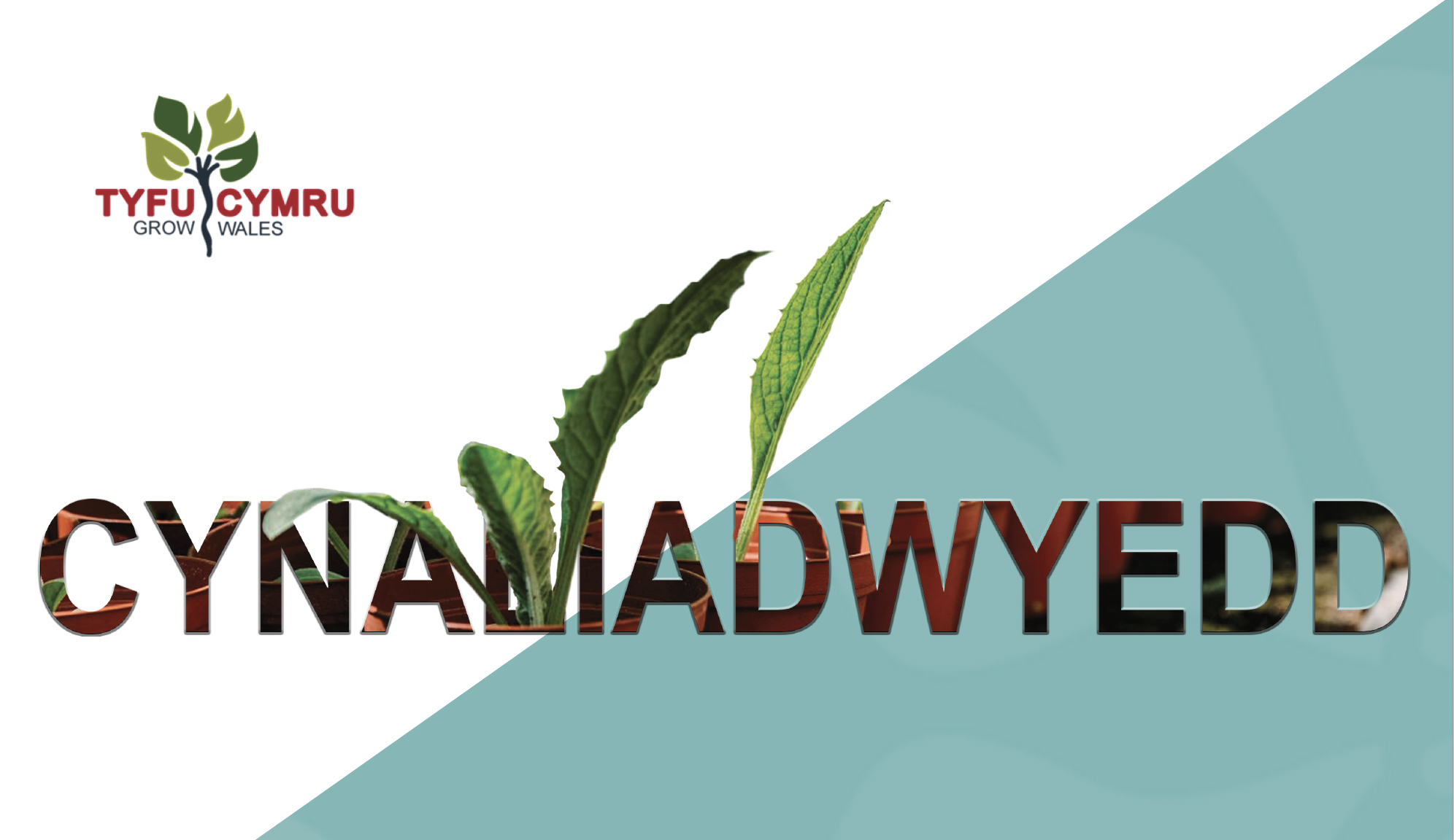 Rhoi Cynaliadwyedd ar flaen y gad