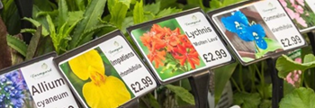 Gŵyl Tyddyn a Chefn Gwlad (21 a 22 Mai)