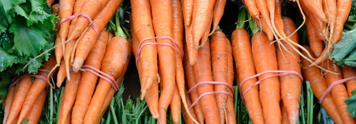carrots .jpg