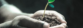 Soil Health Training Programme