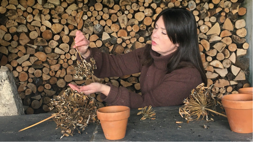 Celebrating Women in Horticulture this International Women's Day!