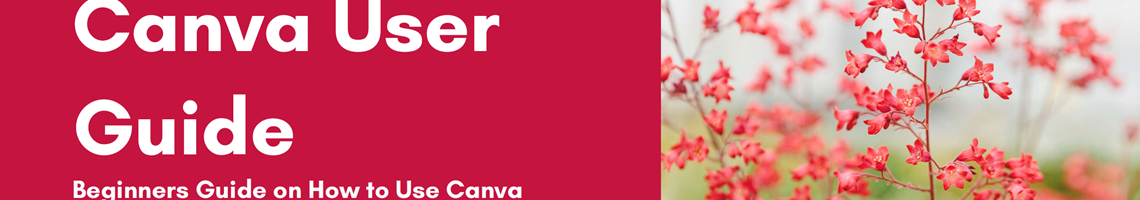 Canva User Guide.pdf Canva: User Guide