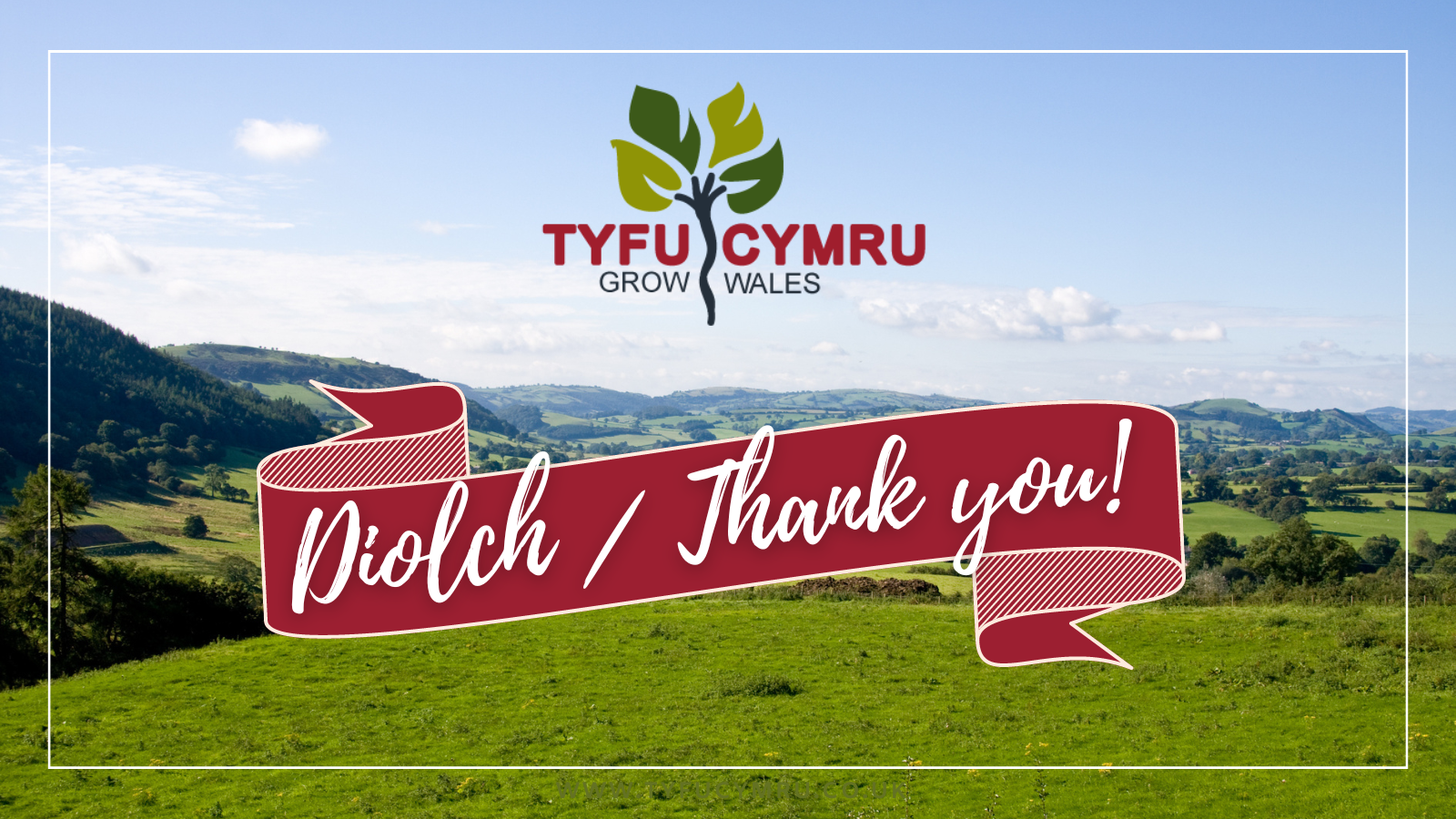 Tyfu Cymru Programme Celebrates Success in Boosting Welsh Horticulture